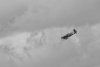 spitfire restaurato 2